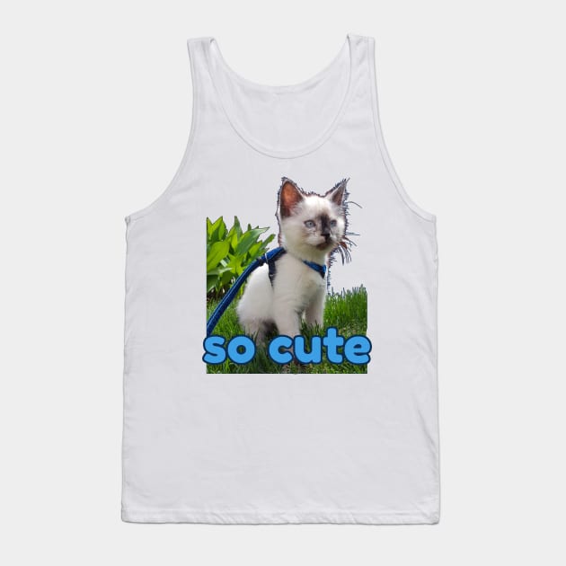 burmese little kitten, tortie Tank Top by Kaczmania